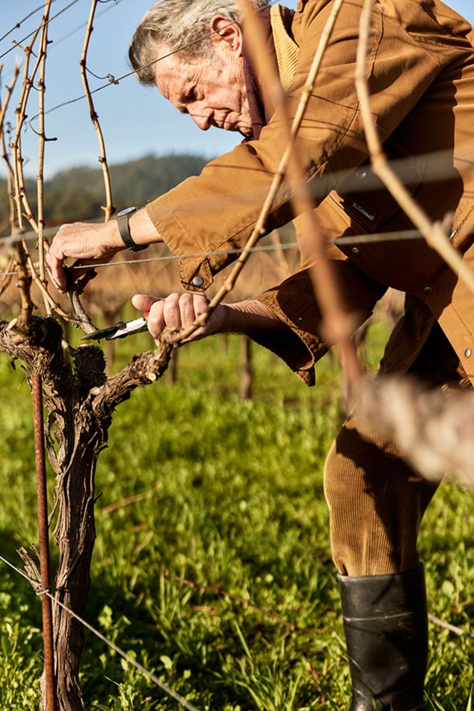 Christian Moueix pruning grape vines